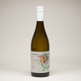 Sauvignon, 2024, suché